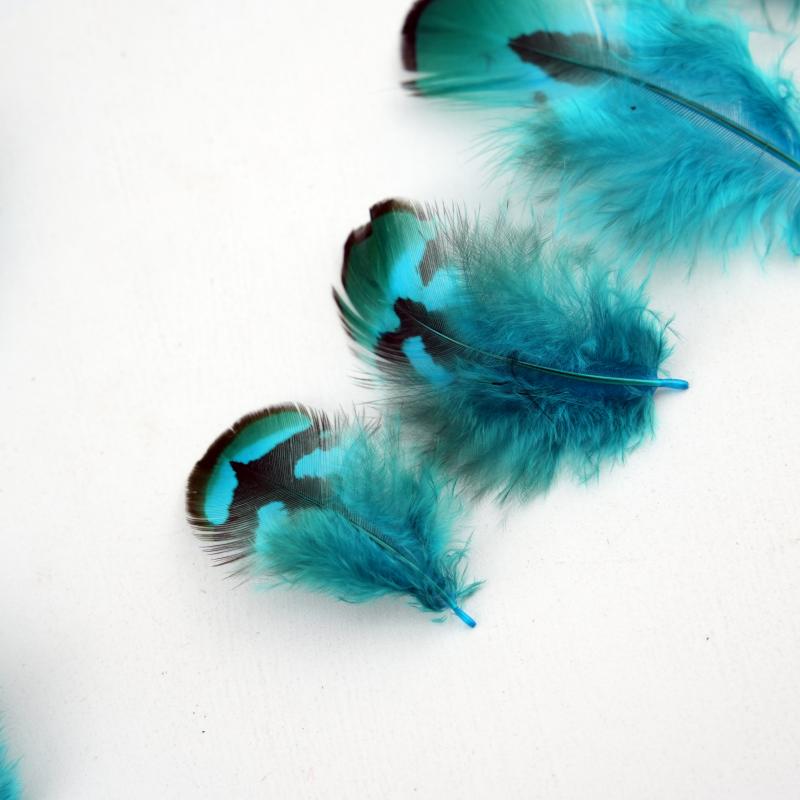 Natural DIY Pheasant Feathers  - Wedding Supply Bulk avaliação e preço