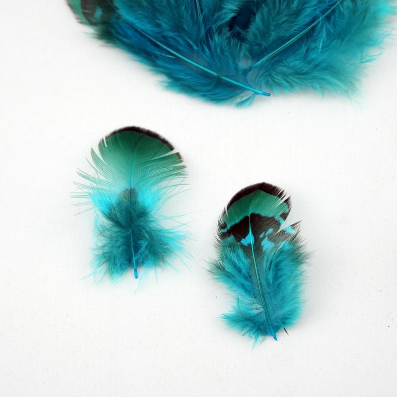 Natural DIY Pheasant Feathers  - Wedding Supply Bulk avaliação e preço