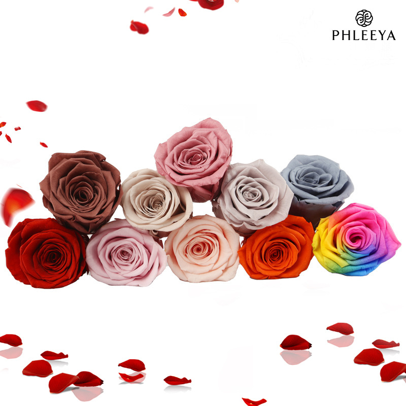 6pcs Eternal Rose Flower Heads - Wedding Supply Bulk avaliação e preço