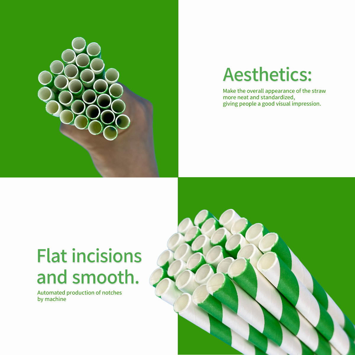 100 Pcs Biodegradable Green an - Wedding Supply Bulk avaliação e preço